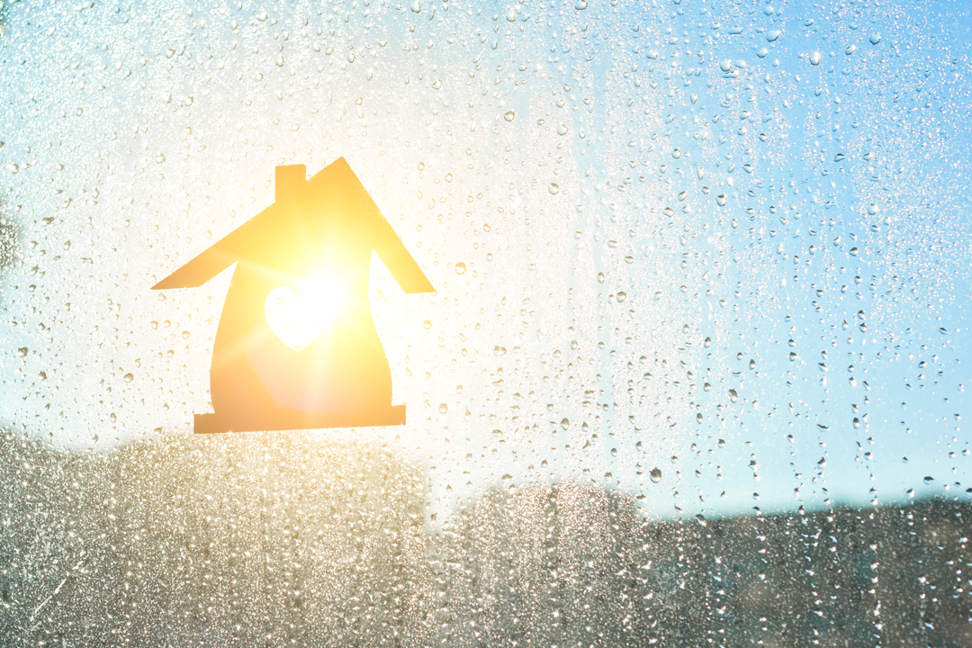 humidity Humidifier or Dehumidifier